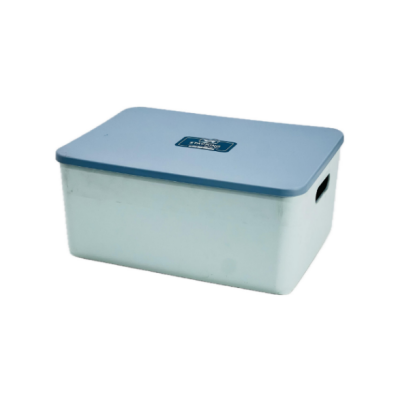 صندوق تخزين بلاستيك بيدين 25*36 سم بغطاء 333576