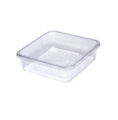 علب شفاف مربعة بغطا الراشد -12 قطعة TH-6006